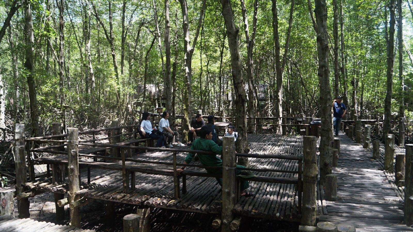 Bamboo walkways and stilt platforms of the Rung Sac guerrilla base under mangrove canopy in Can Gio