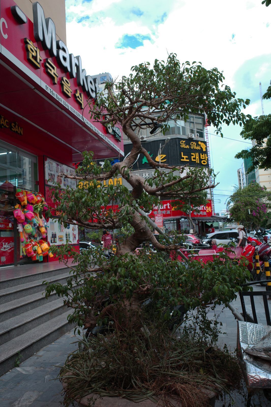Korean mart and restaurant signs on a street in Da Nang's An Thuong area