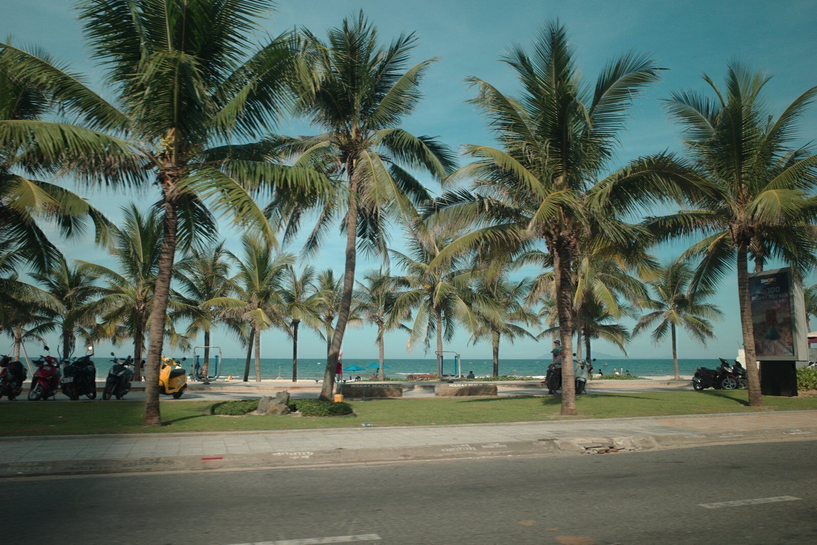 Palm trees lining My Khe Beach in Da Nang with the sea behind on a bright morning