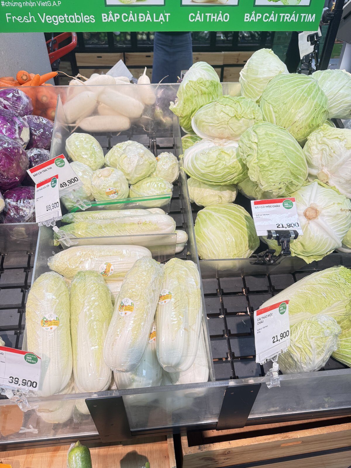 Da Lat cabbages and Chinese cabbage on a supermarket display in Hanoi with 21,900 and 39,900 dong price tags